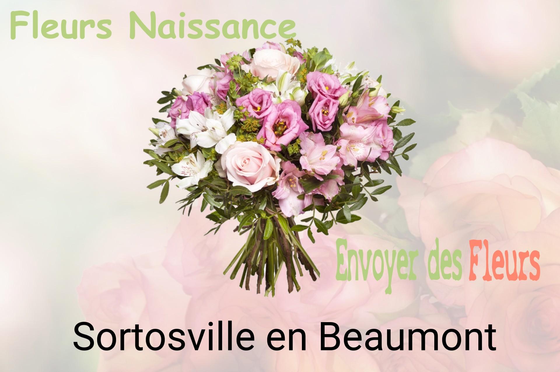 Bouquet de fleurs de naissance livré à Sortosville-en-Beaumont